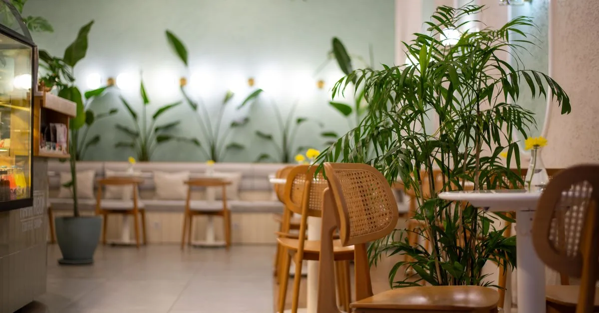 Restaurant Kids Play Area Design UAE: Space Planning, Safety Standards & Costs
