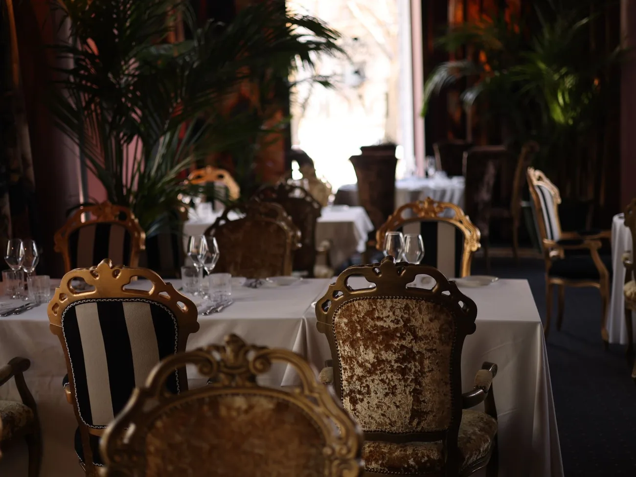 Fine Dining Restaurants