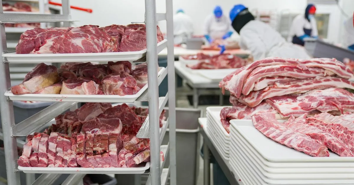 UAE Restaurant Kitchen Exhaust & Ventilation Requirements: A Compliance Guide